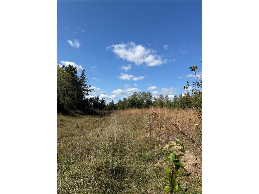 TBD Moonlight Lane SW Bemidji MN 56601 6793588 image1