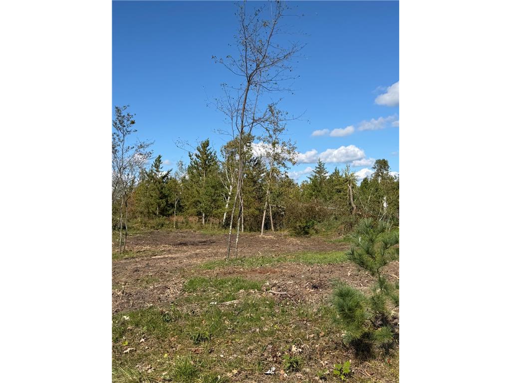 TBD Moonlight Lane SW Bemidji MN 56601 6793588 image3