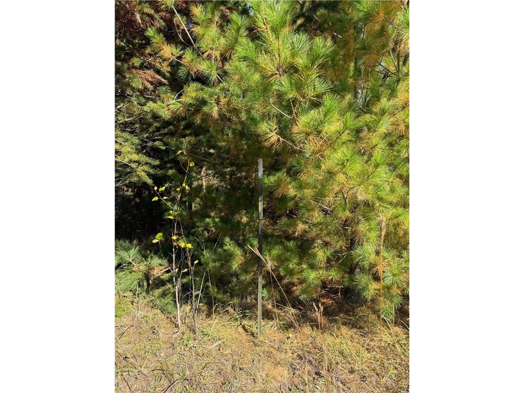 TBD Moonlight Lane SW Bemidji MN 56601 6793588 image5