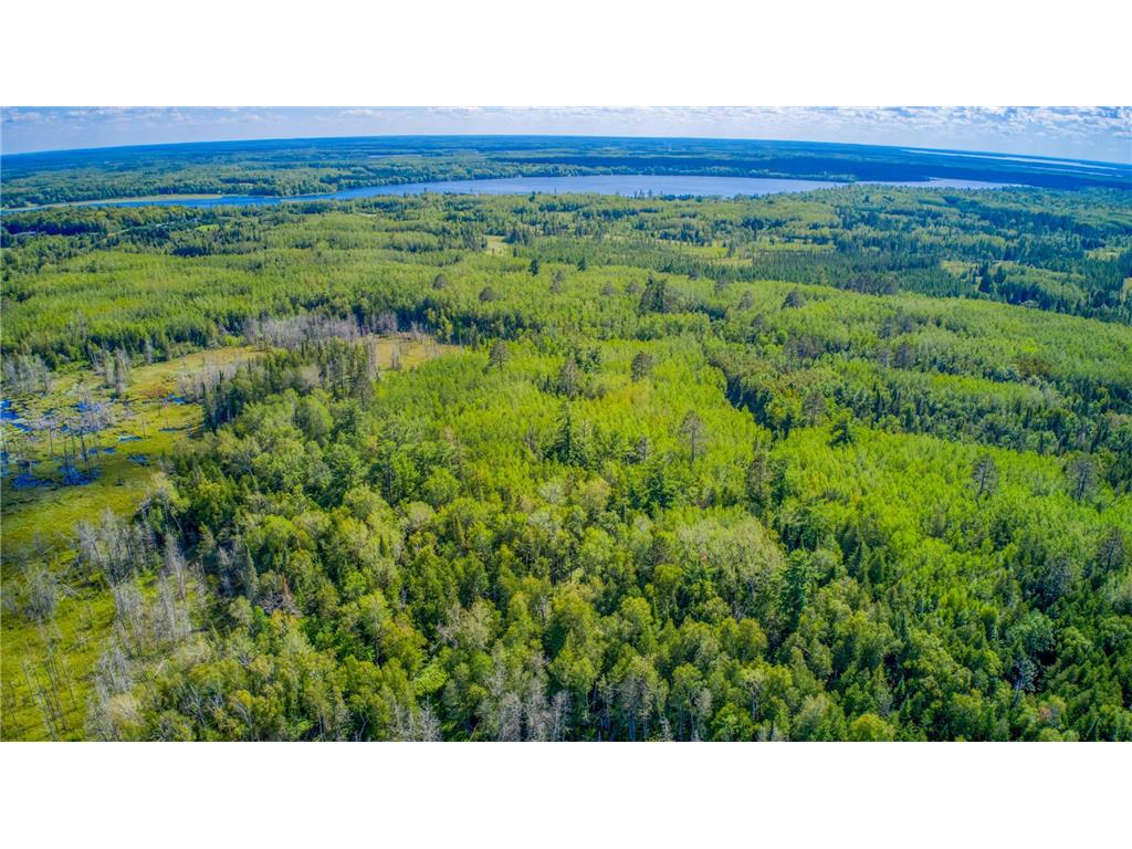 TBD Moose Lake Road NE, Moose Lake Twp, MN, 56601 MLS 6253168