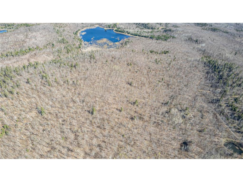 TBD Mountain Home Tr Little Marais MN 55614 7086883 image2