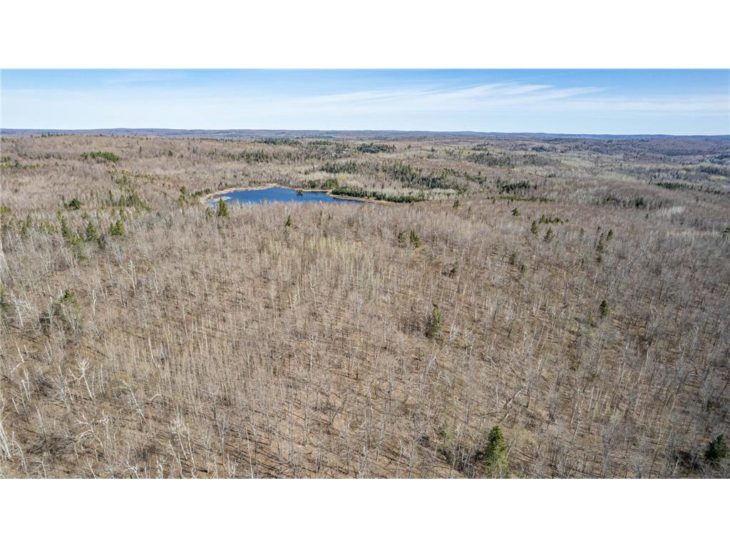 TBD Mountain Home Tr Little Marais MN 55614 7086883 image3