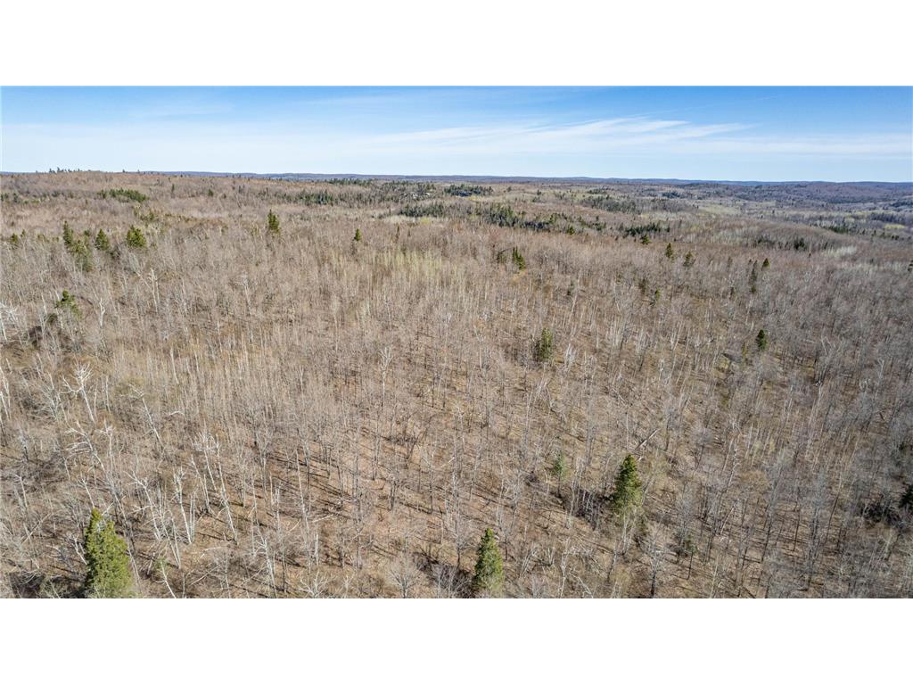 TBD Mountain Home Tr Little Marais MN 55614 7086883 image4