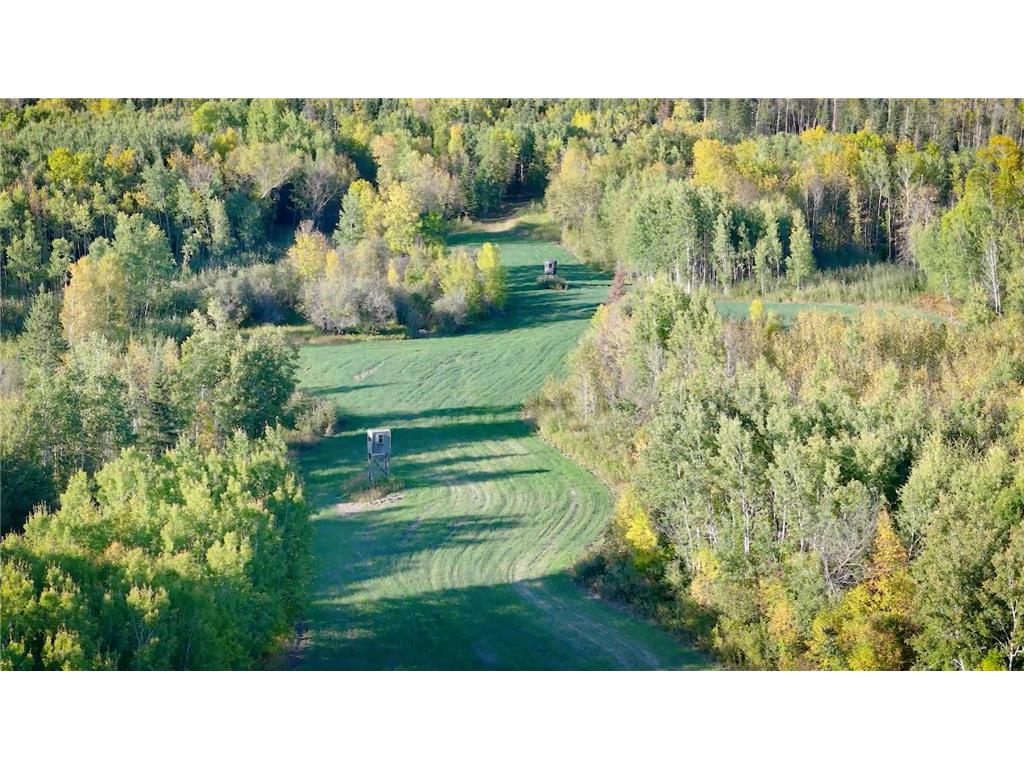 TBD Mud Lake Road Bagley MN 56621 6432848 image1