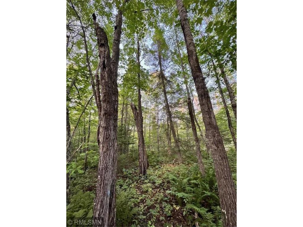 TBD Munson Road Bovey MN 55786 6451684 image1