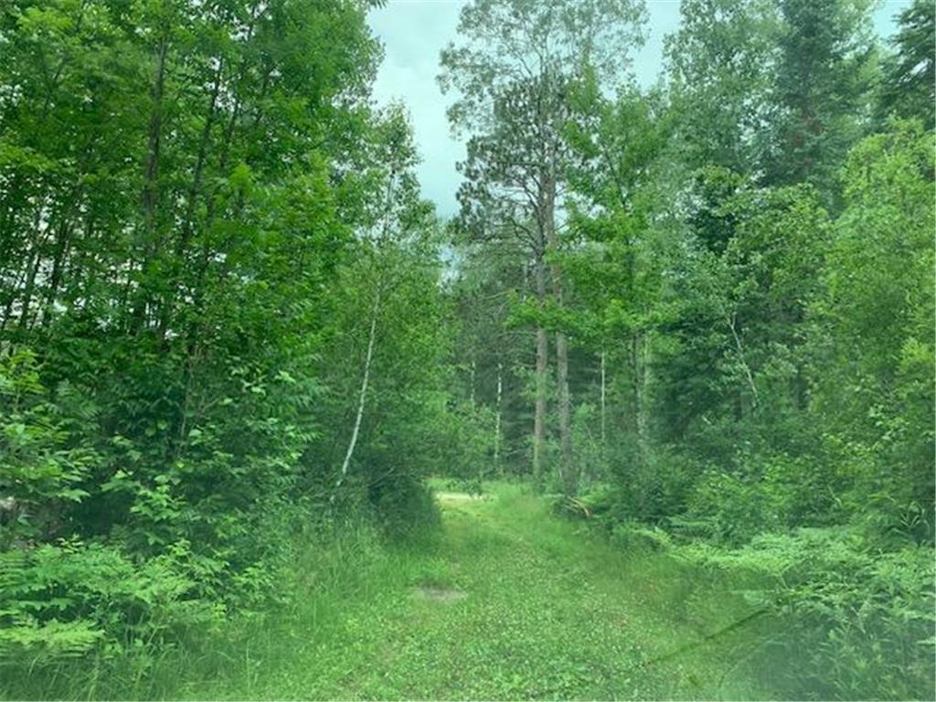 TBD Mushgee Road Sand Lake Twp MN 56636 6762049 image1