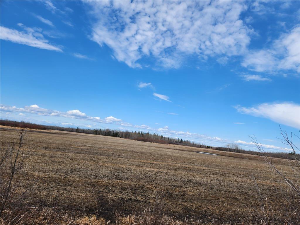 TBD N 510th Ave. Salol MN 56756 6524227 image1