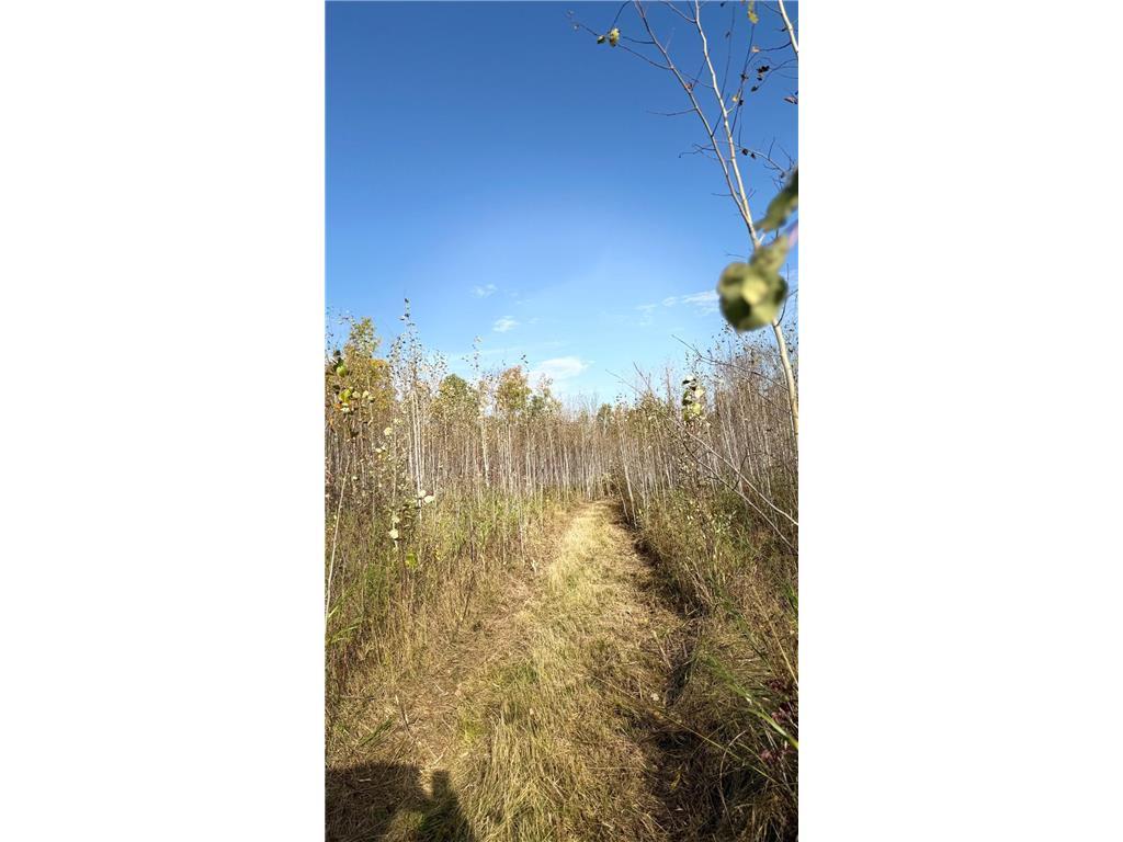 TBD N 80 Town Rd 6 Northome MN 56661 6797561 image1