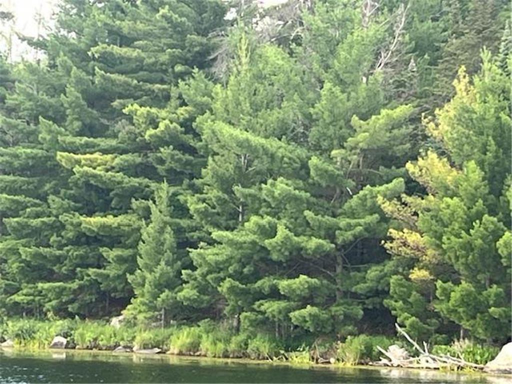 TBD N Ban Lake Spur Orr MN 55771 - Ban 6790338 image15