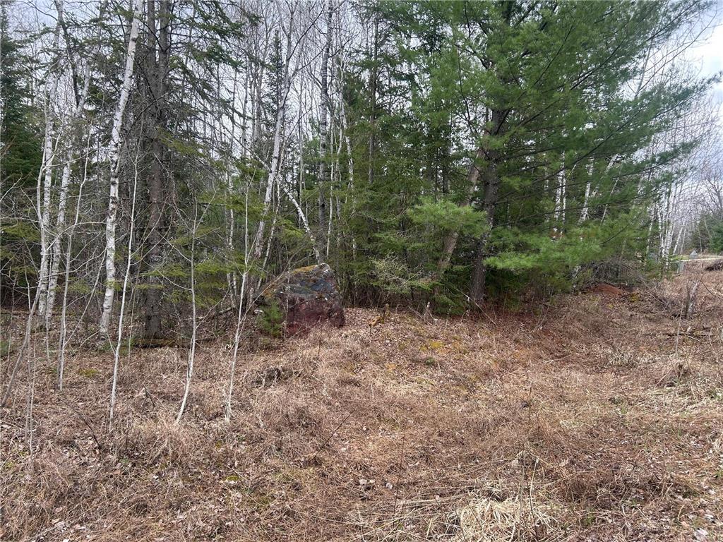 TBD N Birch Drive Coleraine MN 55721 7067535 image4