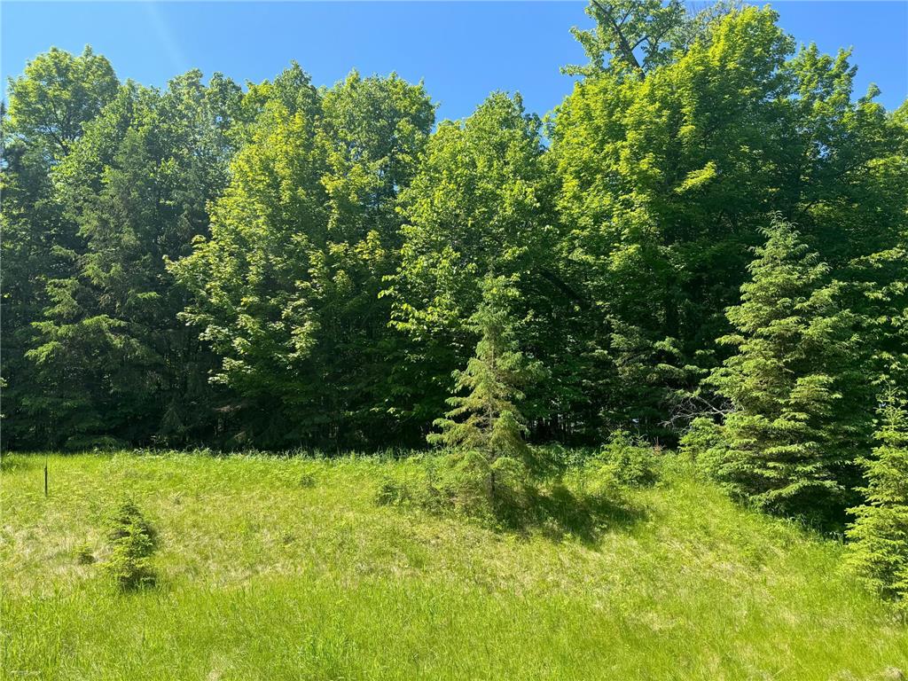 TBD N Blackduck Lake Road NE Hines Twp MN 56630 - Blackduck Lake 6550156 image1