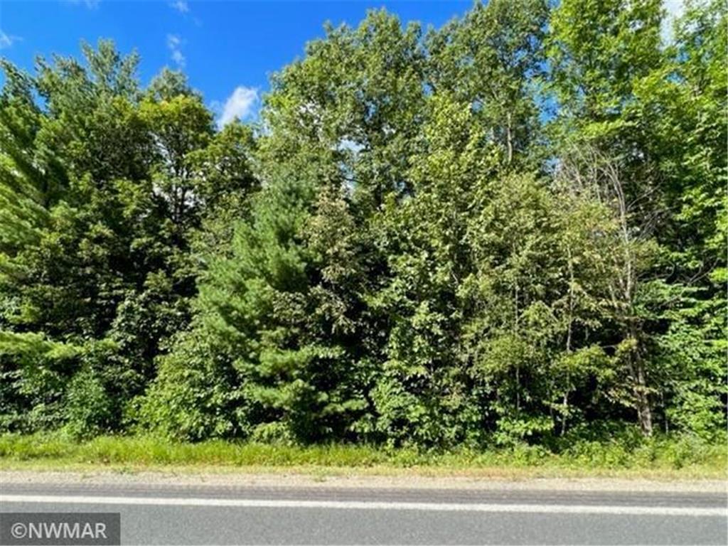 TBD N. Grace Lake Rd NE Frohn Twp MN 56601 6255520 image1