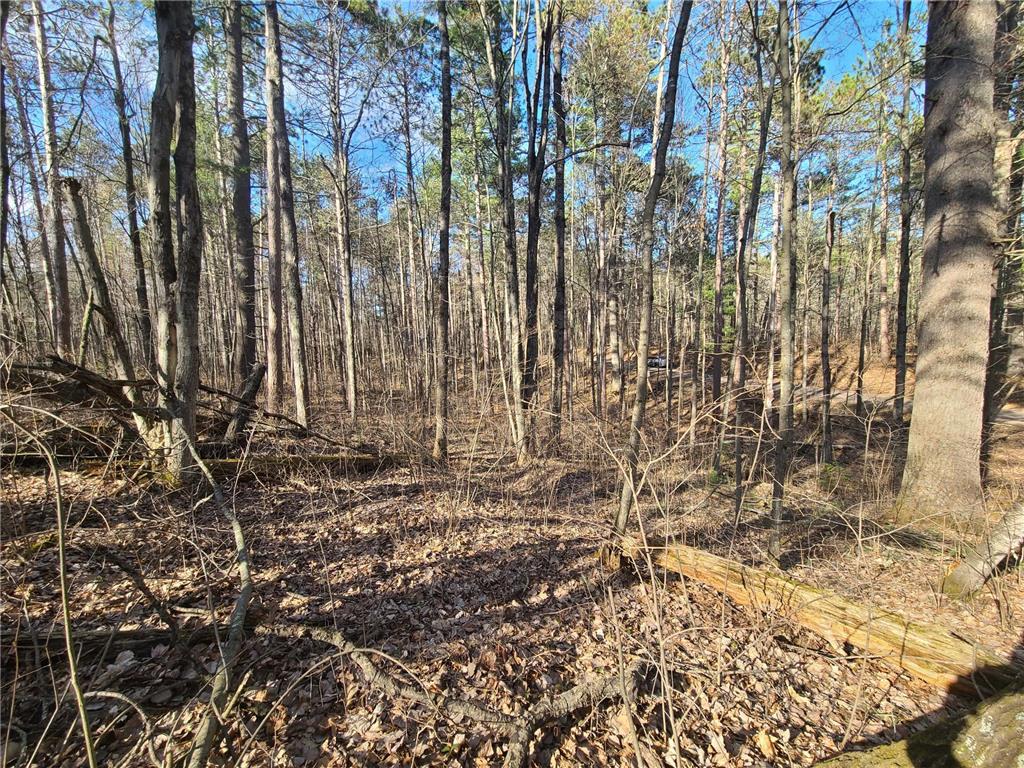 TBD N John Erickson Avenue Bass Lake Twp WI 54843 7019457 image1