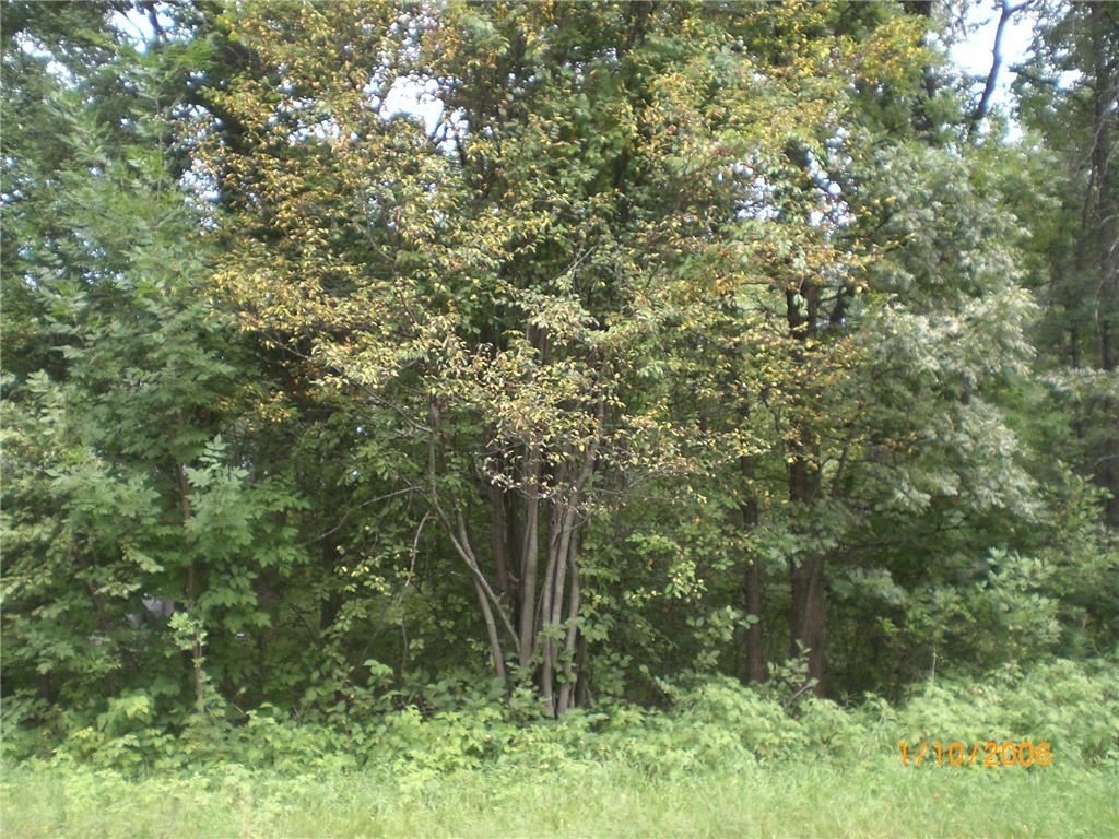 TBD N Lakeview Drive Breezy Point MN 56472 6778626 image1