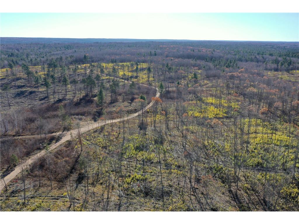 TBD N Larsen Road Lenroot Twp WI 54843 6816027 image1