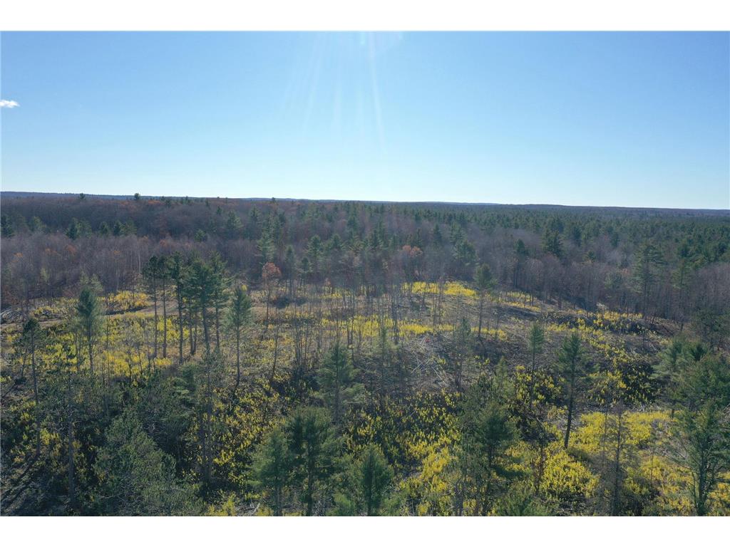 TBD N Larsen Road Lenroot Twp WI 54843 6816027 image11