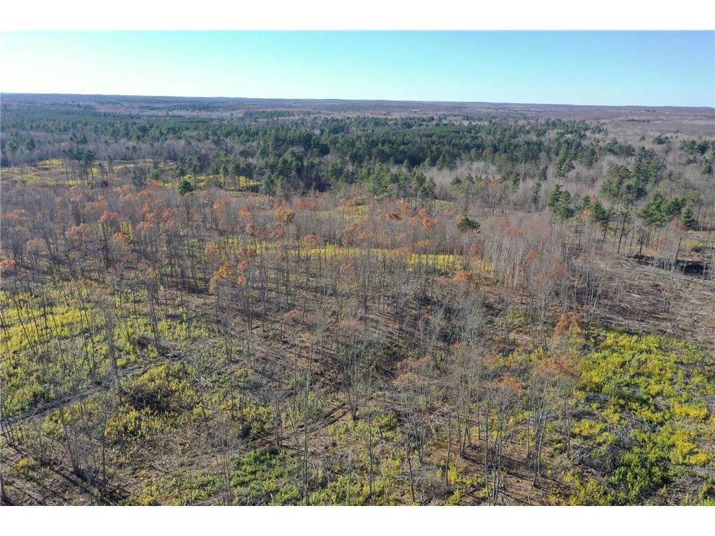 TBD N Larsen Road Lenroot Twp WI 54843 6816027 image13