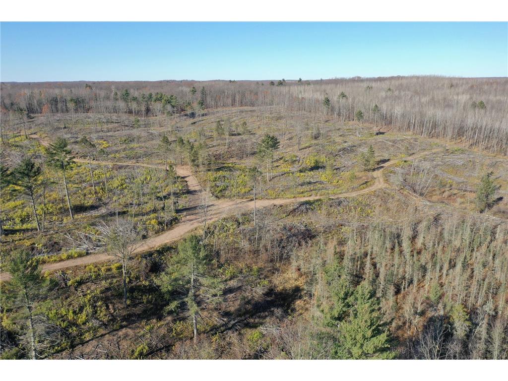 TBD N Larsen Road Lenroot Twp WI 54843 6816027 image15