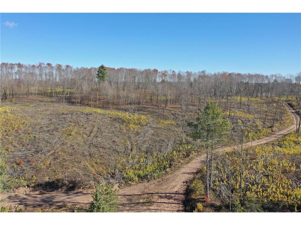 TBD N Larsen Road Lenroot Twp WI 54843 6816027 image17