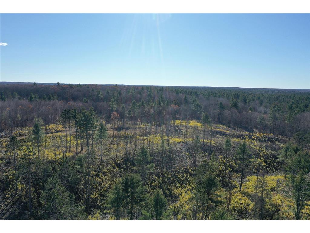 TBD N Larsen Road Lenroot Twp WI 54843 6816027 image18
