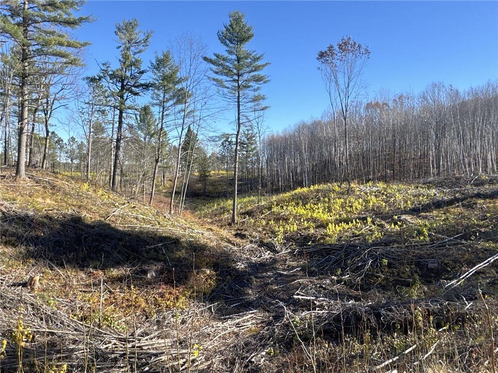 TBD N Larsen Road Lenroot Twp WI 54843 6816027 image2
