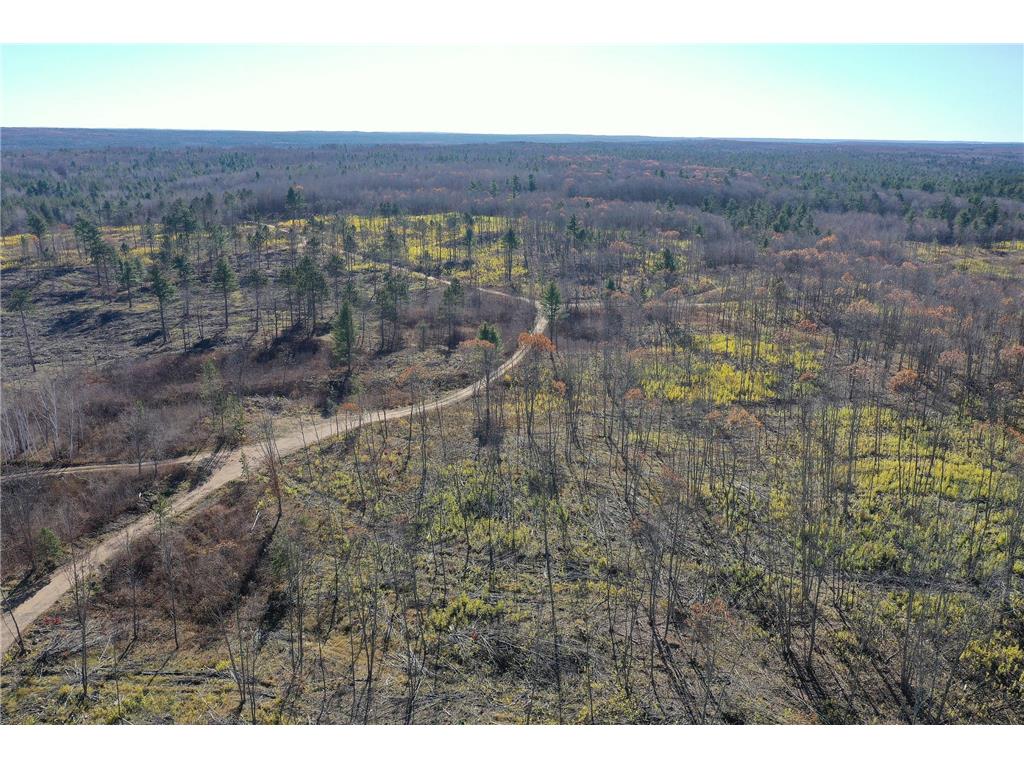 TBD N Larsen Road Lenroot Twp WI 54843 6816027 image20