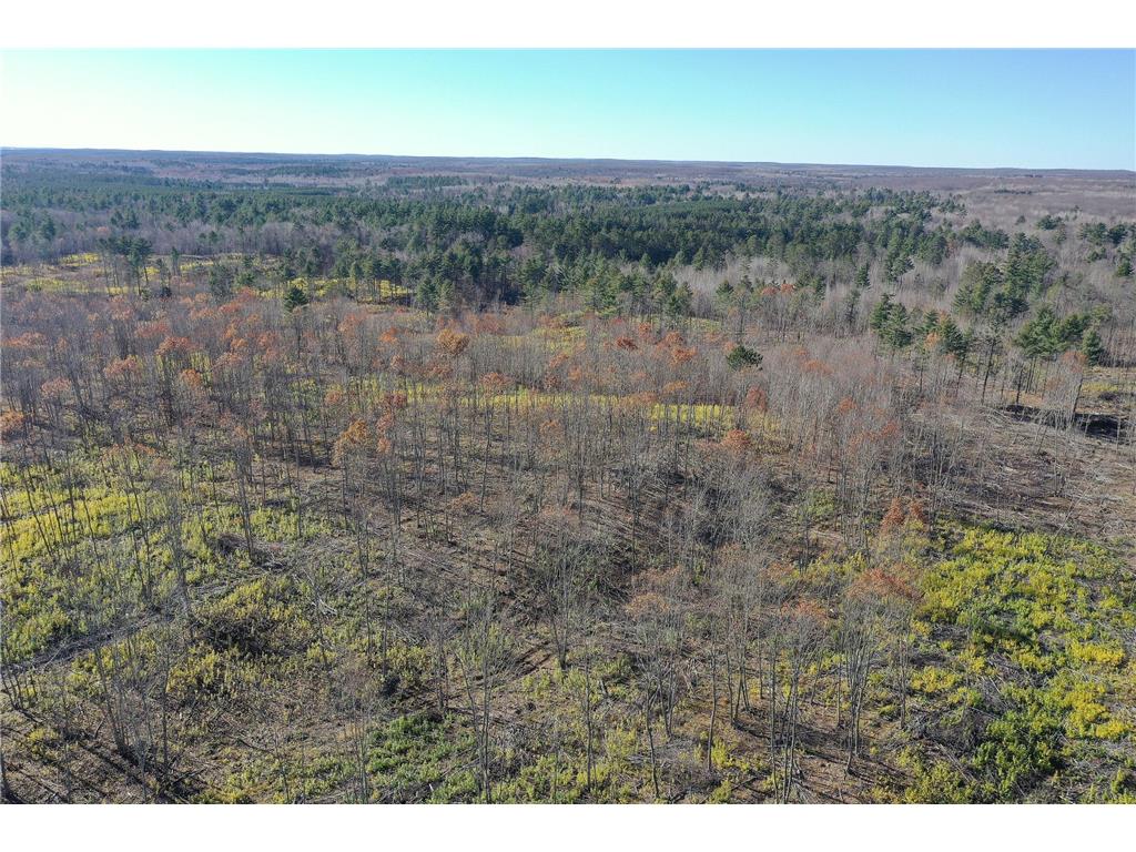TBD N Larsen Road Lenroot Twp WI 54843 6816027 image21