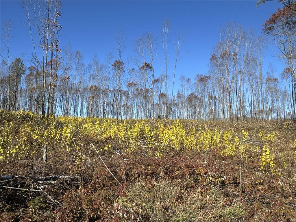 TBD N Larsen Road Lenroot Twp WI 54843 6816027 image22