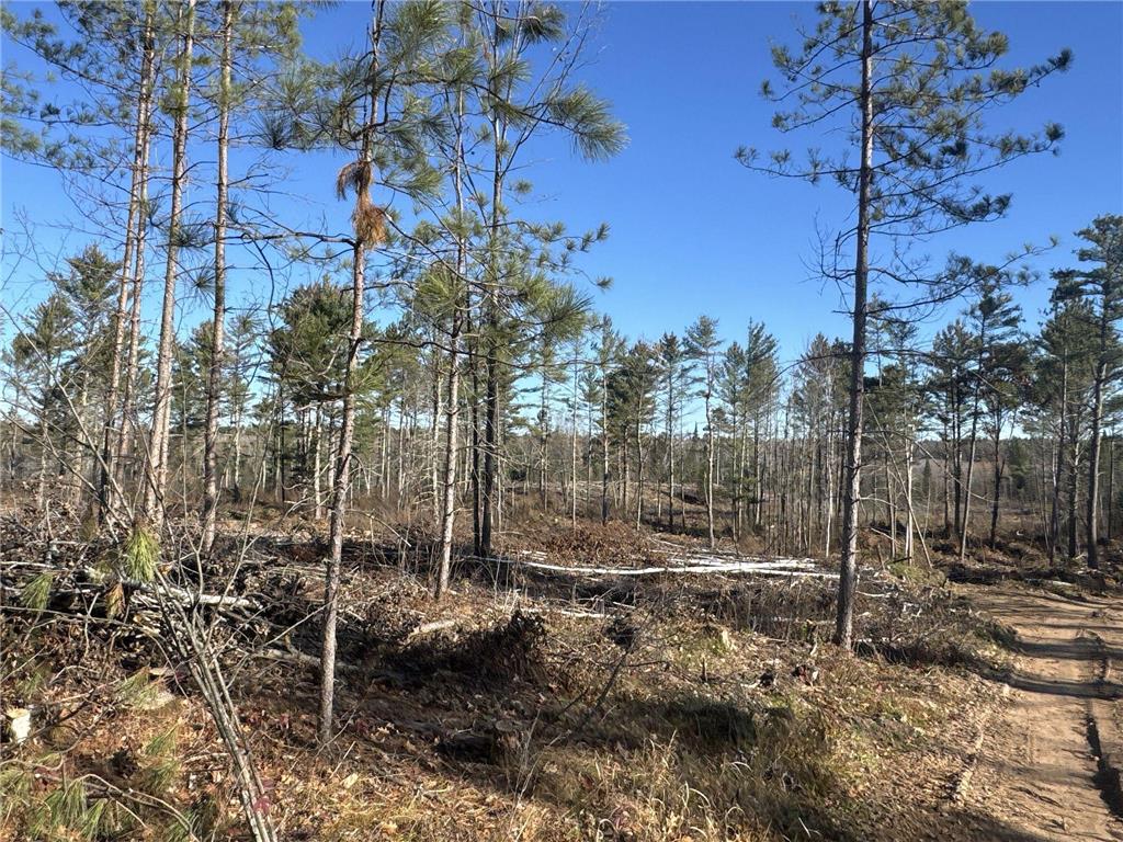TBD N Larsen Road Lenroot Twp WI 54843 6816027 image23