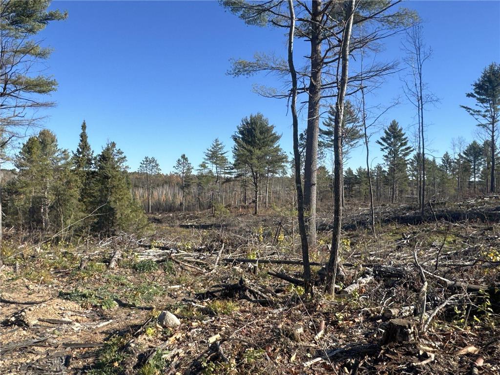TBD N Larsen Road Lenroot Twp WI 54843 6816027 image25