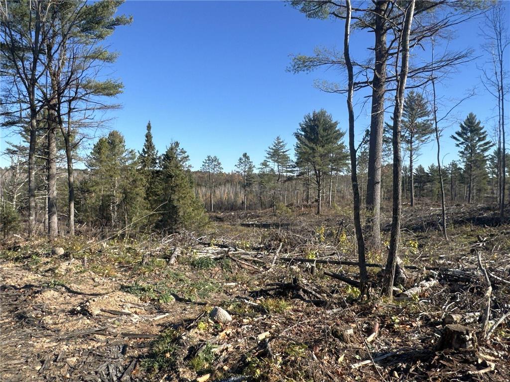 TBD N Larsen Road Lenroot Twp WI 54843 6816027 image26