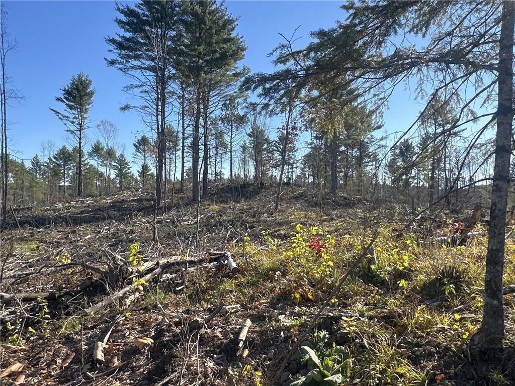 TBD N Larsen Road Lenroot Twp WI 54843 6816027 image27