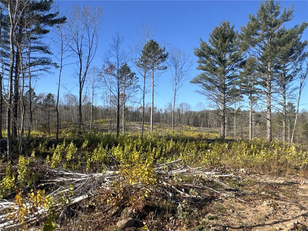 TBD N Larsen Road Lenroot Twp WI 54843 6816027 image28
