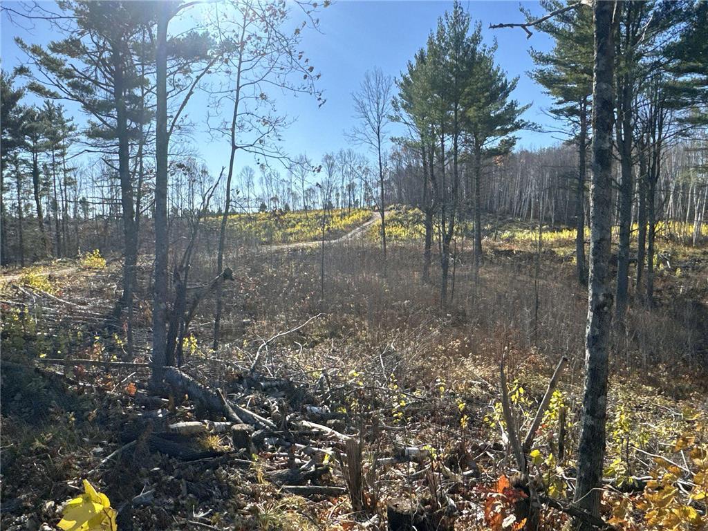 TBD N Larsen Road Lenroot Twp WI 54843 6816027 image29