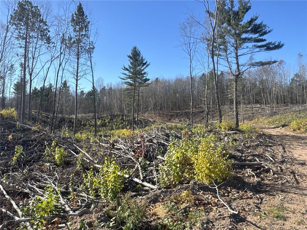 TBD N Larsen Road Lenroot Twp WI 54843 6816027 image30