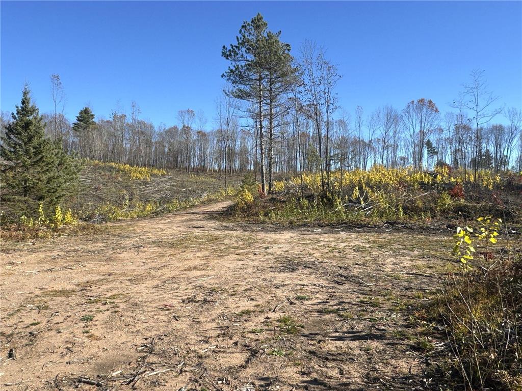 TBD N Larsen Road Lenroot Twp WI 54843 6816027 image31