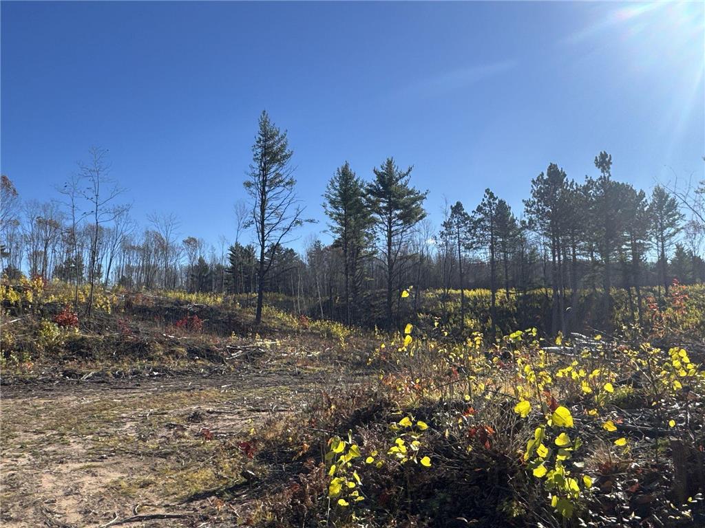 TBD N Larsen Road Lenroot Twp WI 54843 6816027 image32