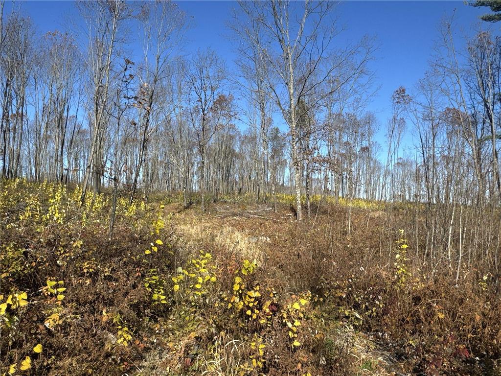 TBD N Larsen Road Lenroot Twp WI 54843 6816027 image33