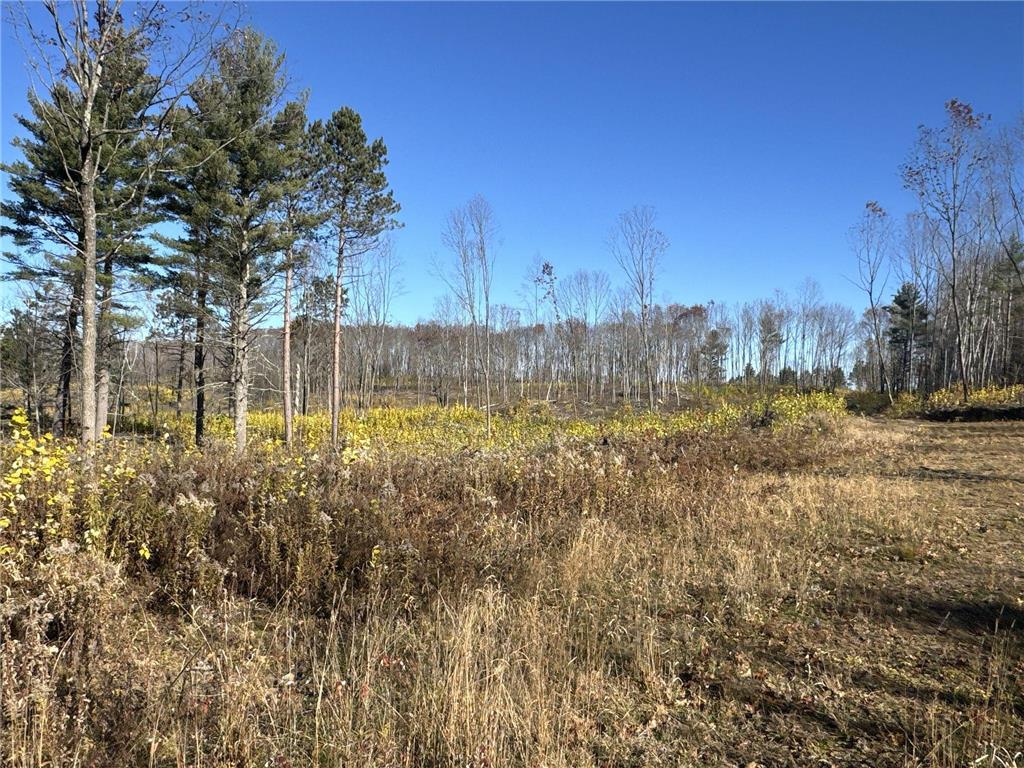 TBD N Larsen Road Lenroot Twp WI 54843 6816027 image35