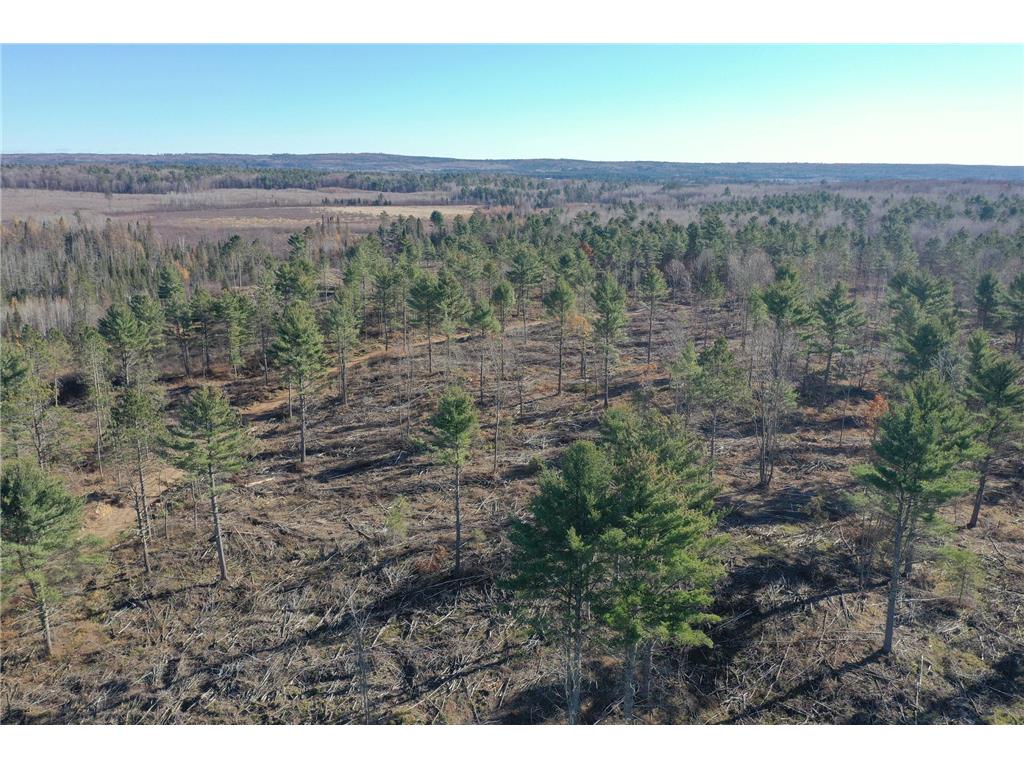 TBD N Larsen Road Lenroot Twp WI 54843 6816027 image7