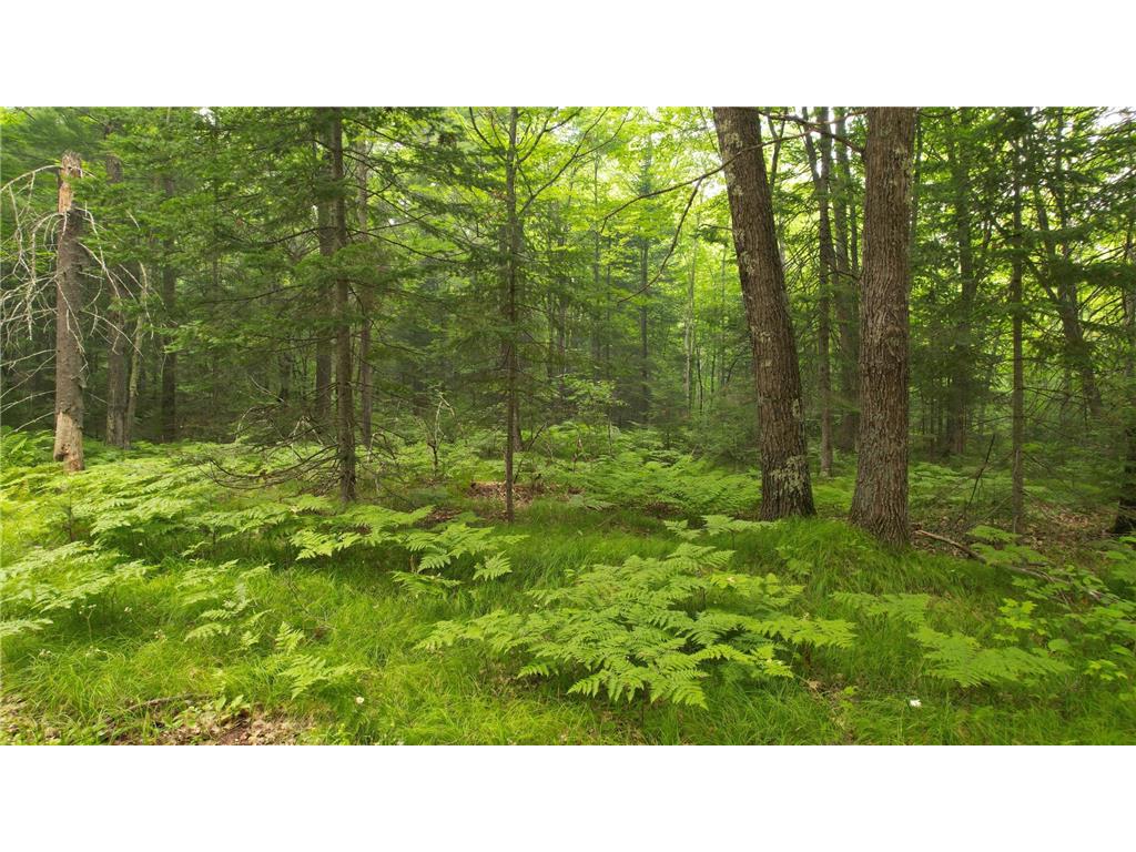 TBD N Loop Road Drummond WI 54832 7110874 image3