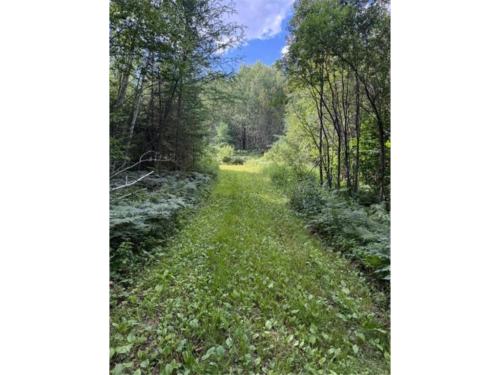 TBD N Moose Lake Road Pennington MN 56663 7107353 image1