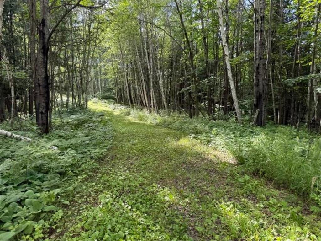 TBD N Moose Lake Road Pennington MN 56663 7107353 image10