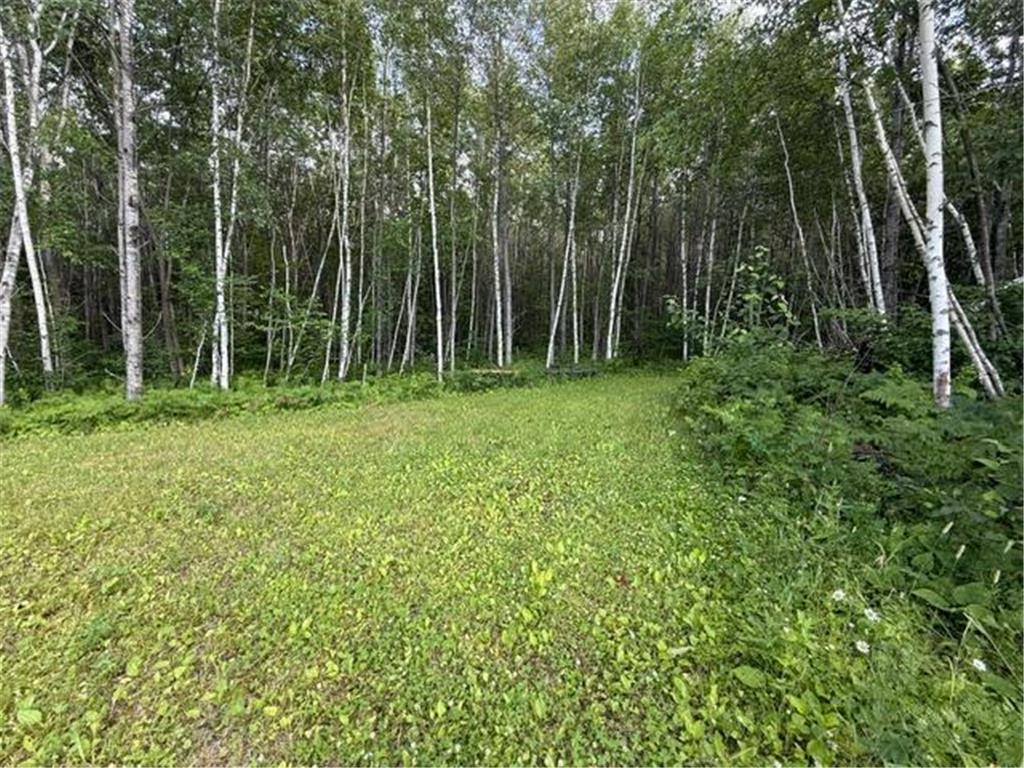 TBD N Moose Lake Road Pennington MN 56663 7107353 image11