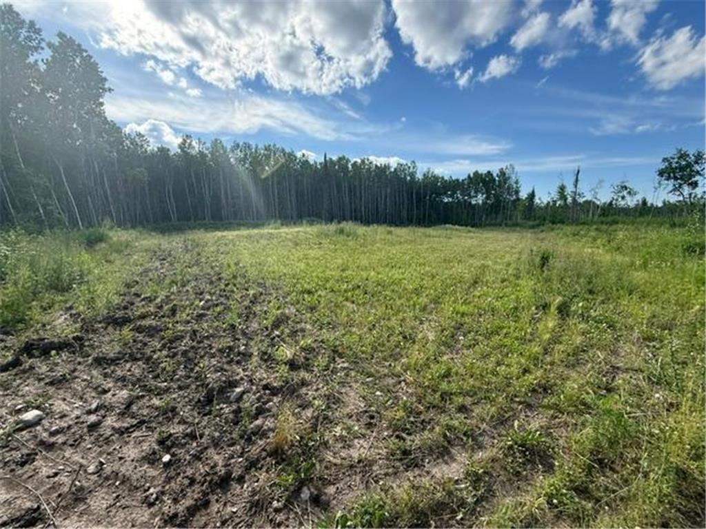 TBD N Moose Lake Road Pennington MN 56663 7107353 image12