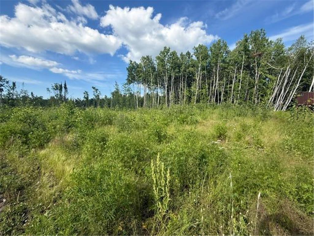 TBD N Moose Lake Road Pennington MN 56663 7107353 image13