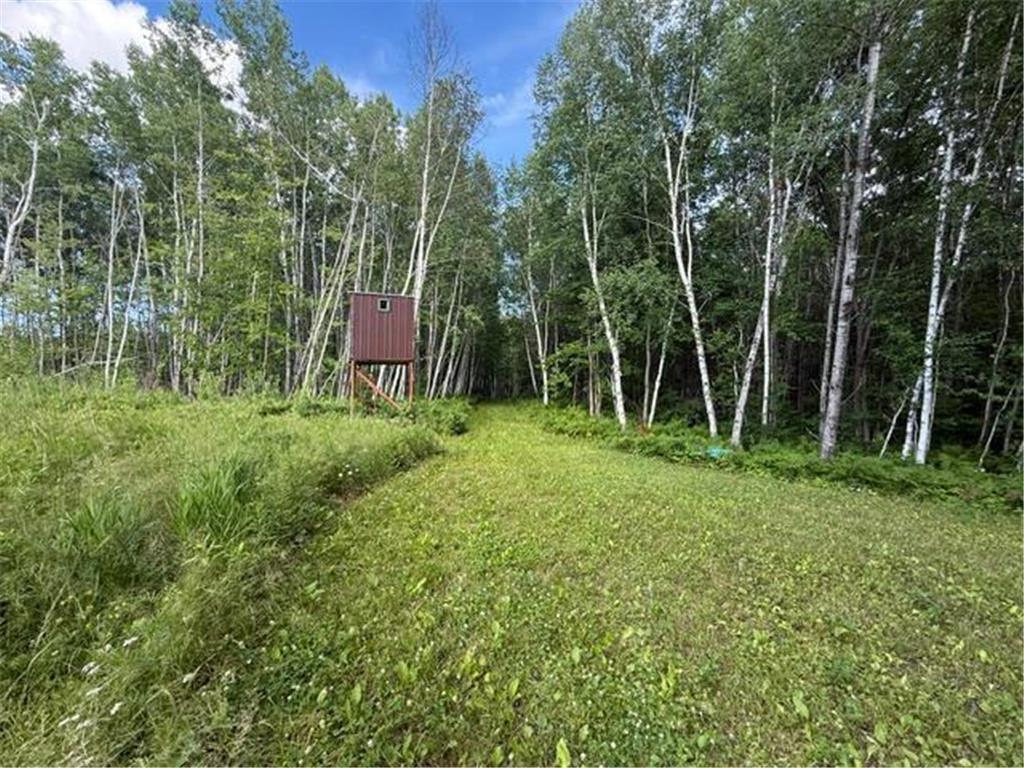 TBD N Moose Lake Road Pennington MN 56663 7107353 image14