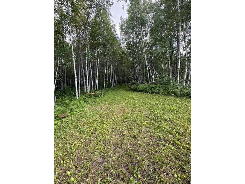 TBD N Moose Lake Road Pennington MN 56663 7107353 image16