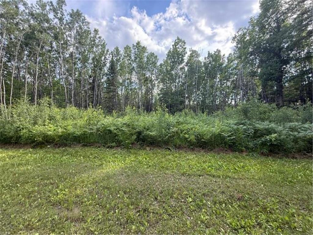 TBD N Moose Lake Road Pennington MN 56663 7107353 image18