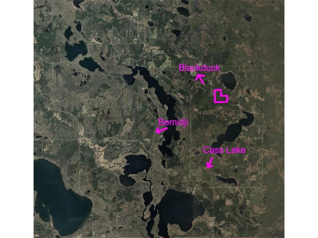 TBD N Moose Lake Road Pennington MN 56663 7107353 image3